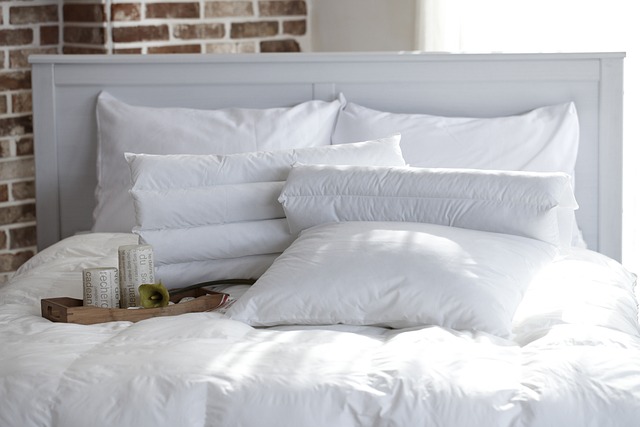 Już teraz dowiedz się jakie akcesoria sypialniane wybrać - poduszki dekoracyjne dla Twojej rodziny!